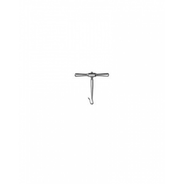 Eurosurgery, Laminectomy